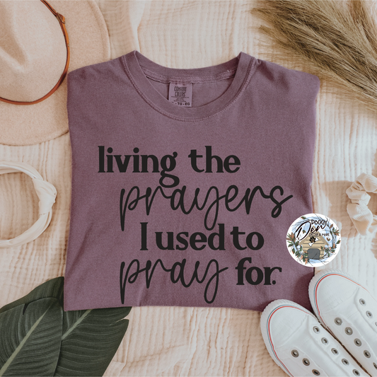 Living the Prayer